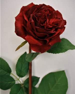 Роза "Августа Ренуа" для декора