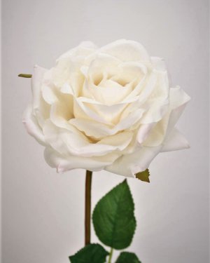 Роза "Азубис" для интерьерного декора
