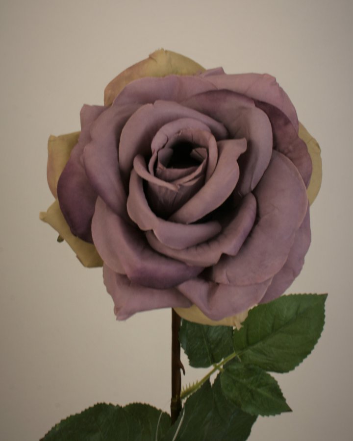 Роза "Виктор Гюго" для декора в стиле ретро