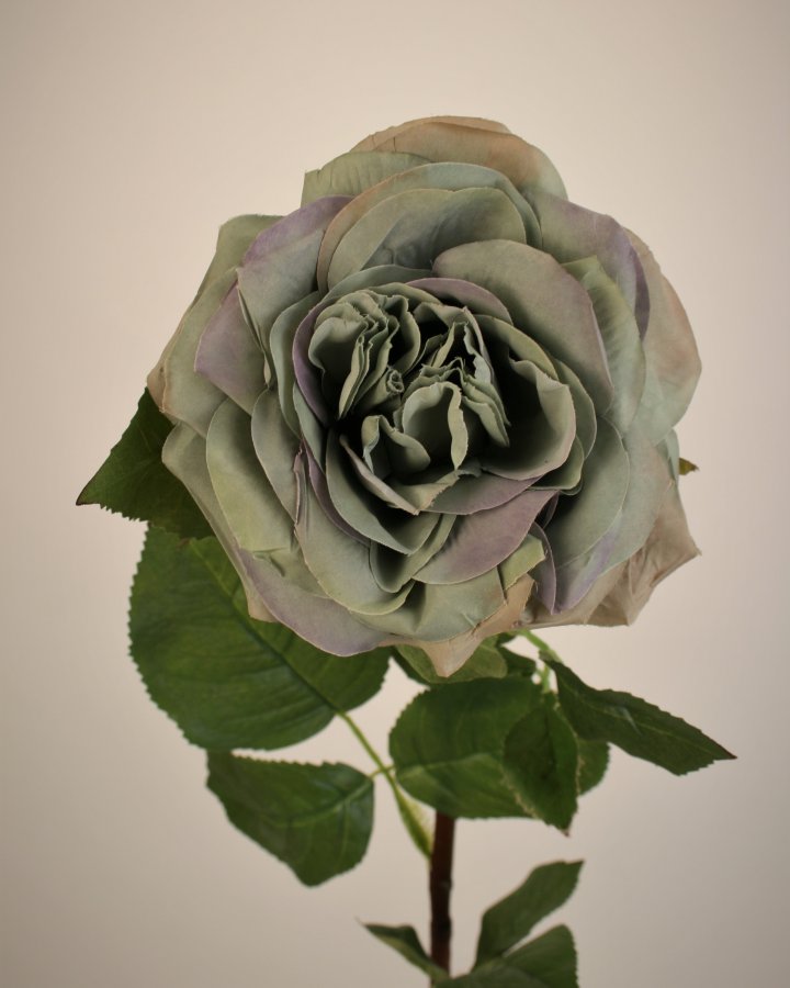 Роза "Грациоза" для декора в винтажном стиле