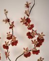 Орхидея Онцидиум для декора интерьера